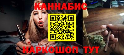 крисы Гай