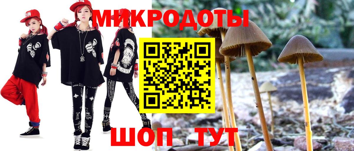Псилоцибиновые грибы ЛСД  даркнет сайт  Заречный  Галлюциногенные грибы мухоморы  Вход с VPN 